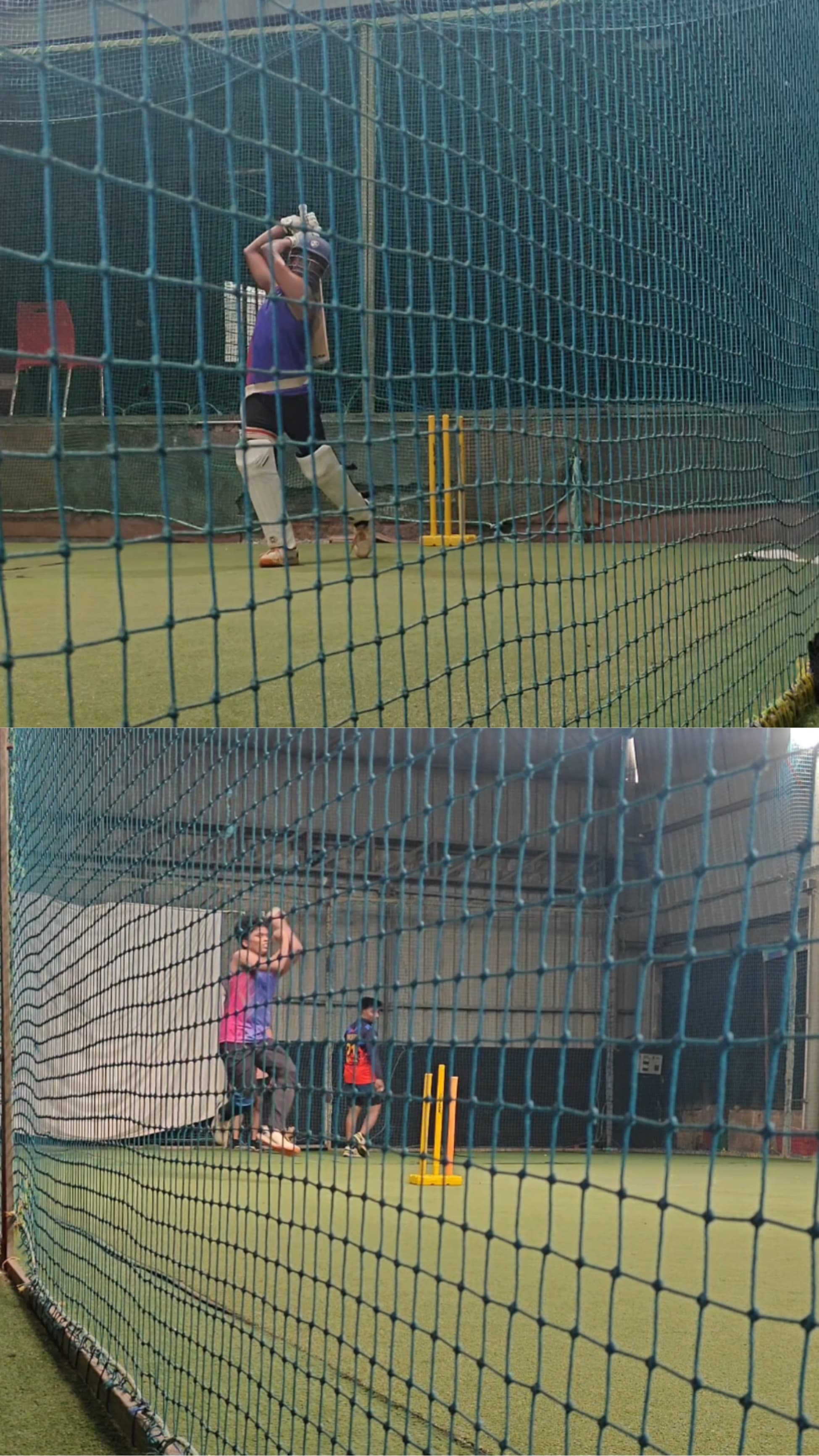 Cricket Portfolio